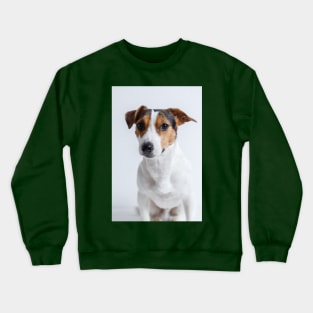 Dog Crewneck Sweatshirt